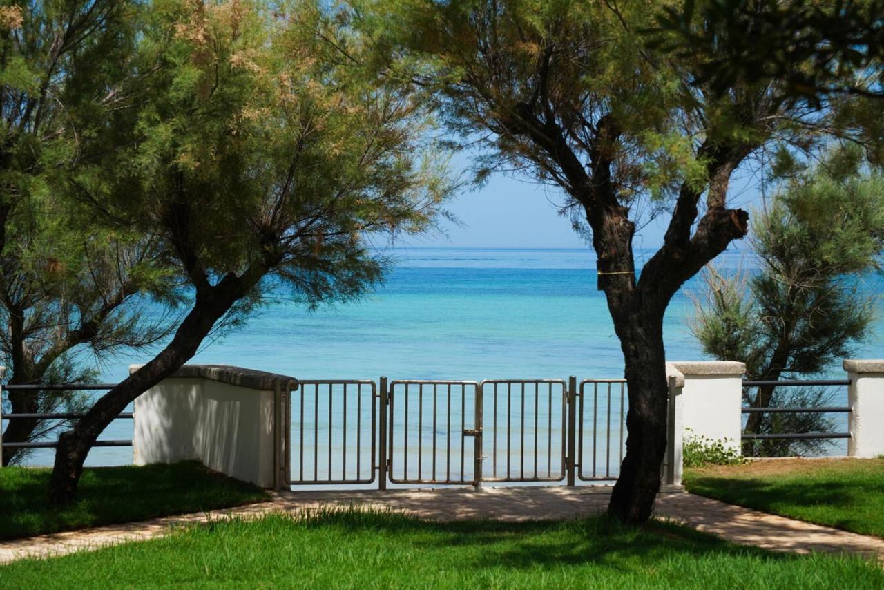 토레깐느 Aurelia Sea View B&B 외부 사진