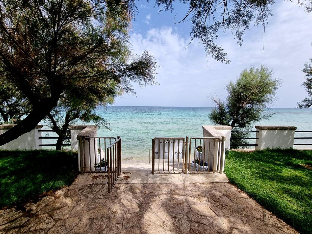 토레깐느 Aurelia Sea View B&B 외부 사진